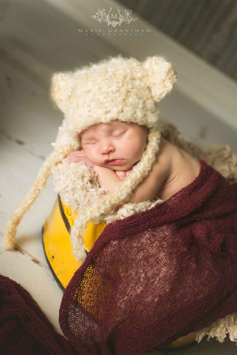 newborn photographer henderson captures baby in bucket with bear hat on