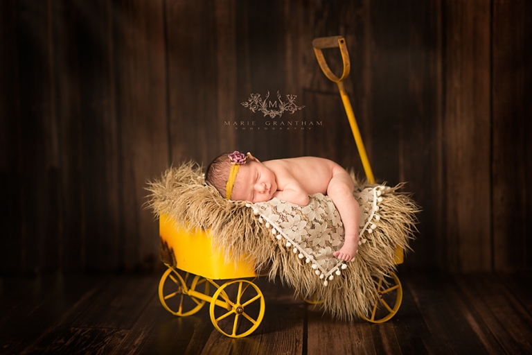 henderson newborn photographer