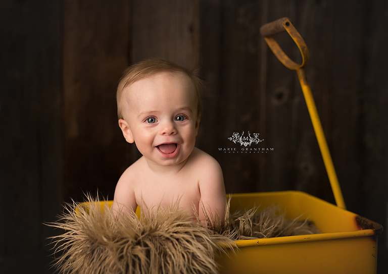 las vegas baby and family photography