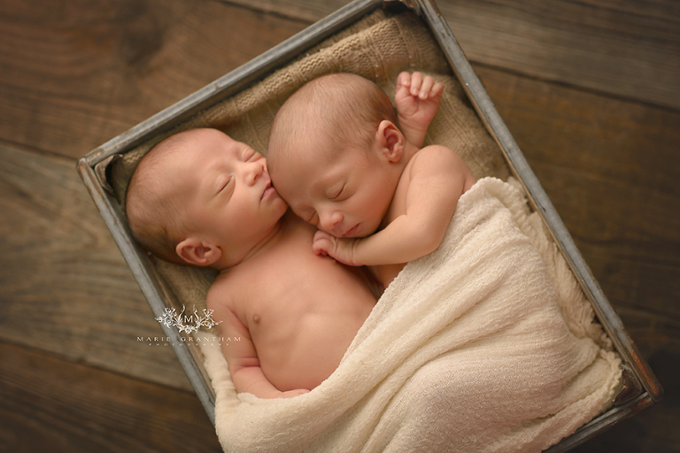 twins newborn photographer las vegas