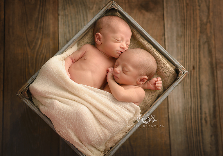 twins newborn portraits las vegas
