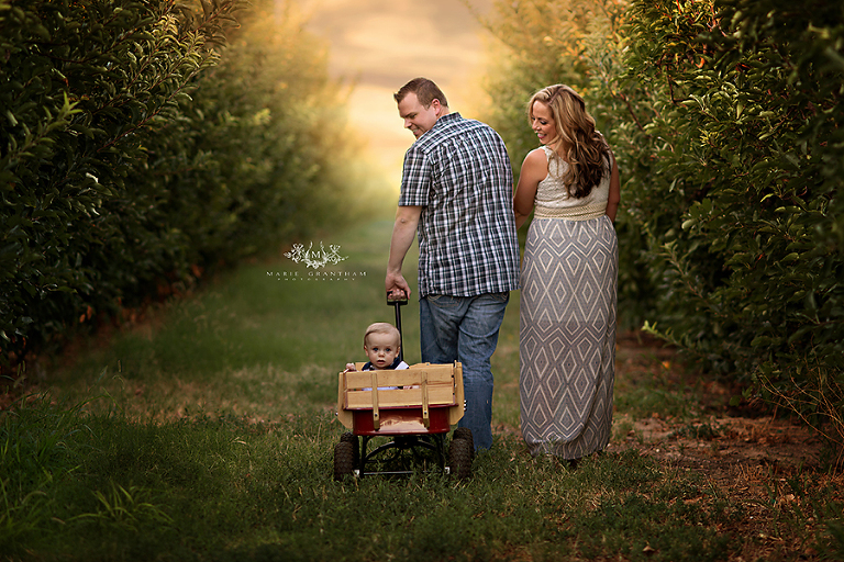 family photography henderson