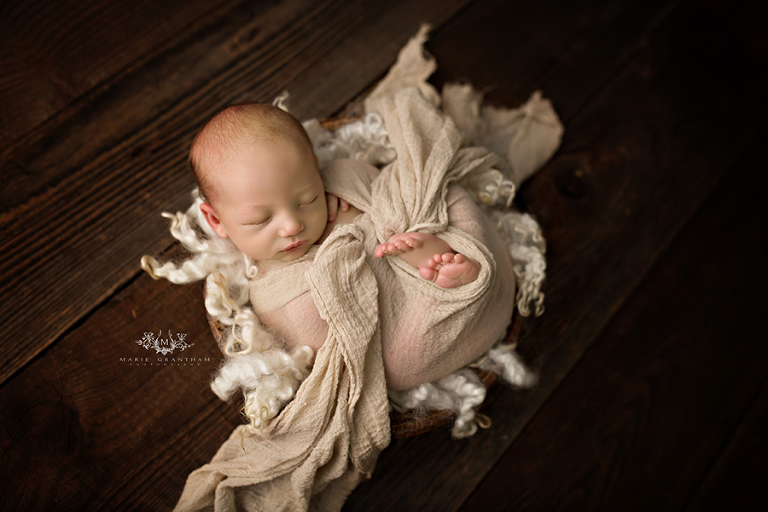 boutique newborn photographer