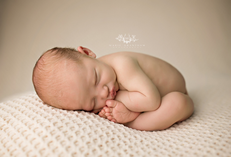 henderson newborn photographer