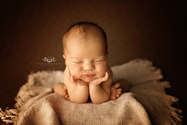 newborn photographer henderson