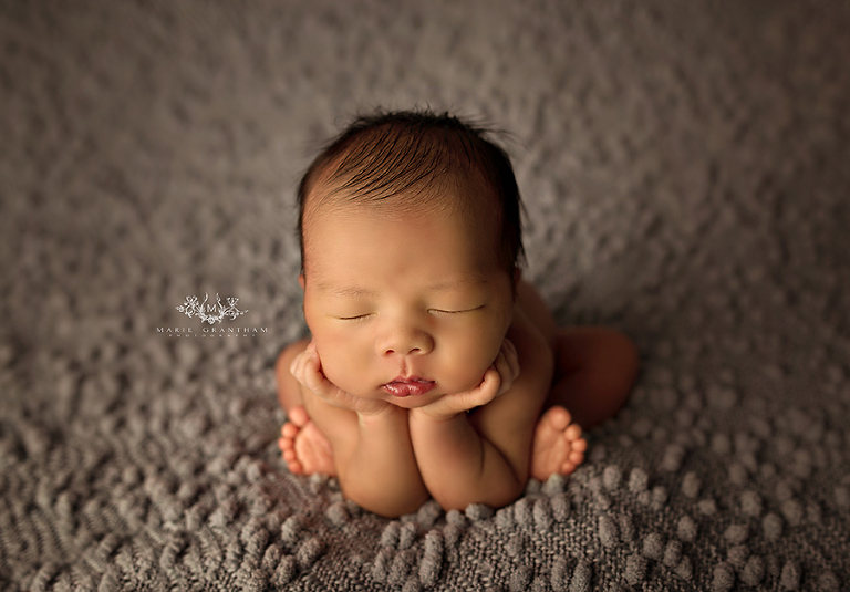 newborn photography hednerson