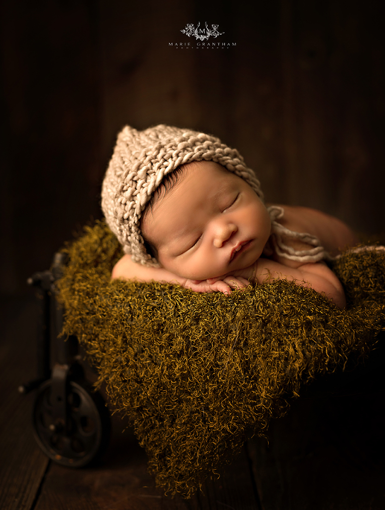 newborn photography las vegas