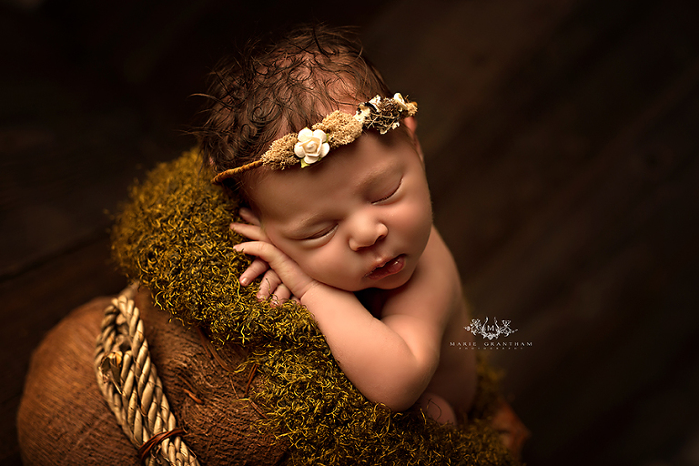 henderson newborn photography