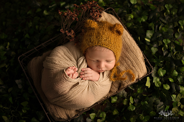 marie grantham photography newborn photographer