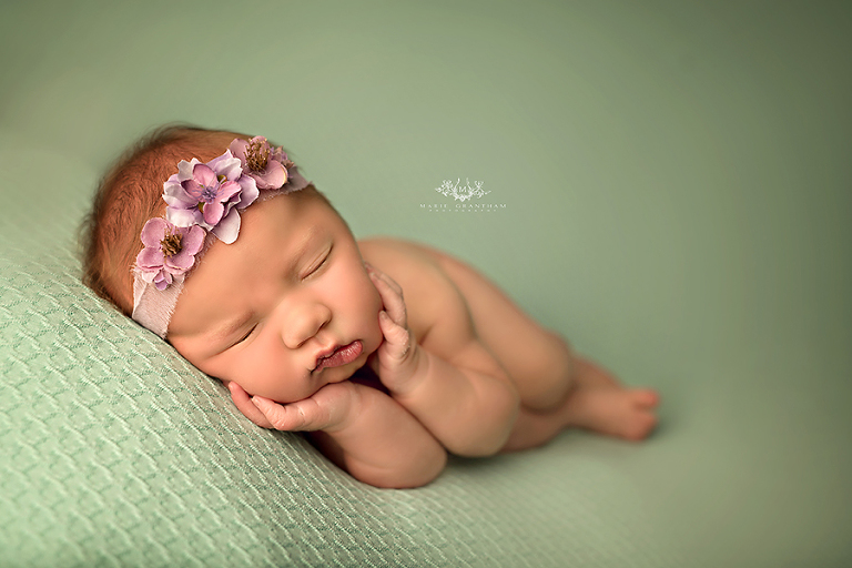 newborn photography henderson