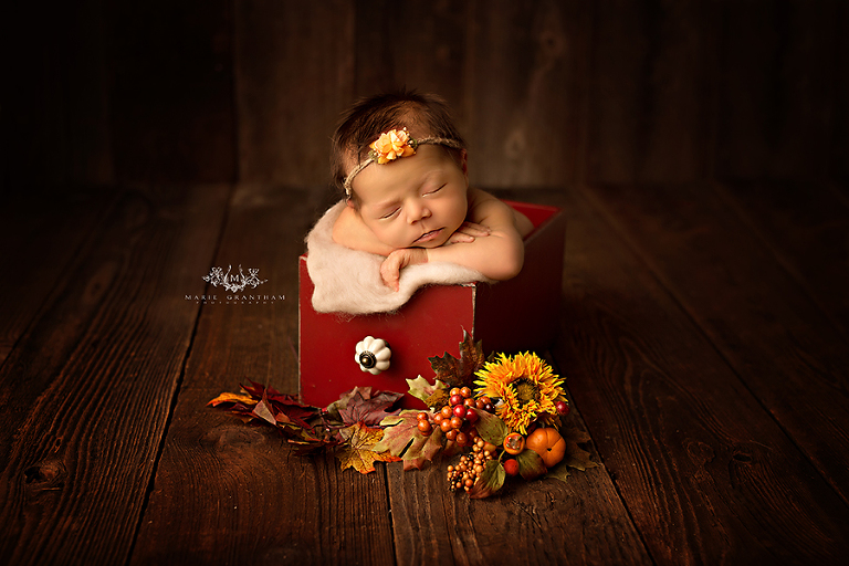 las vegas newborn photographer