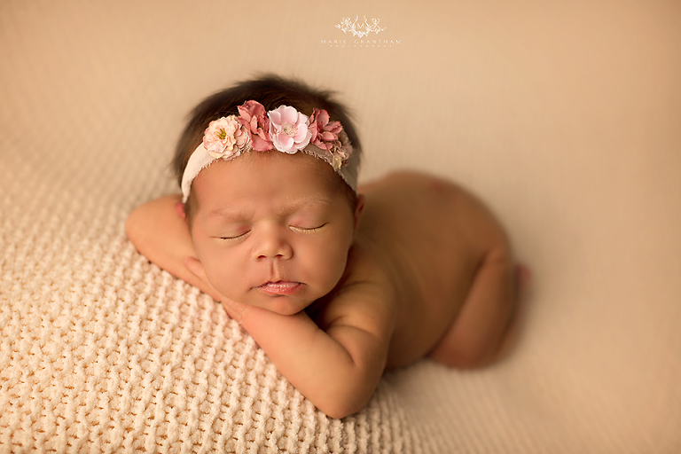 newborn photography henderson