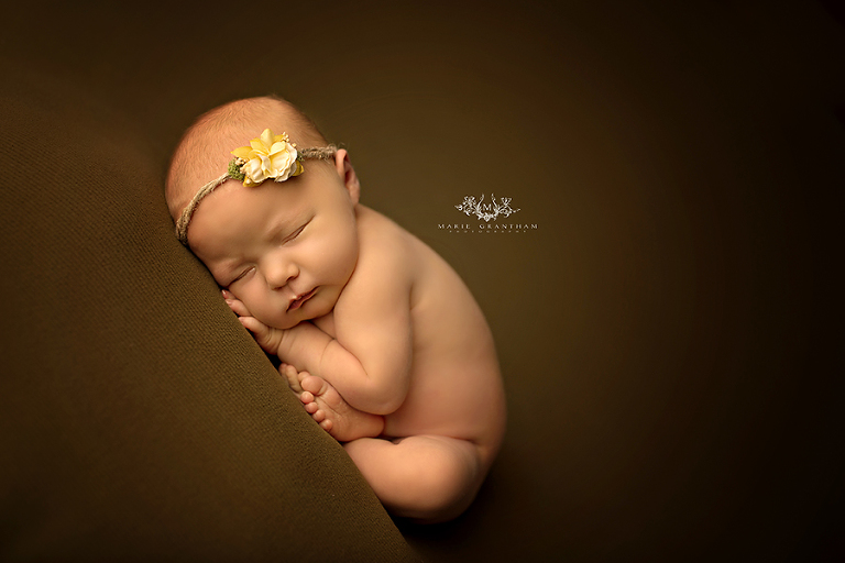 newborn photography studio henderson