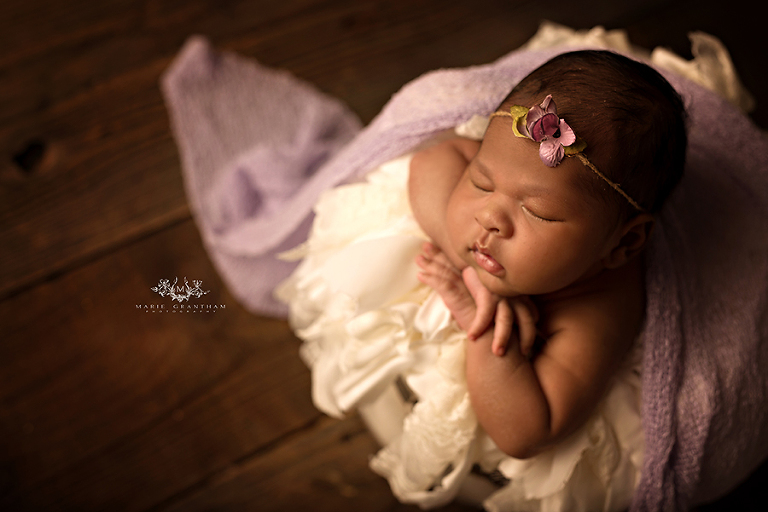henderson newborn photography studio