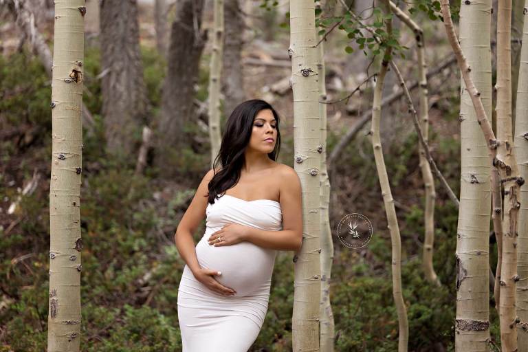 marie_grantham_Photography_maternity_photographer_Las_Vegas_woods_maternity_photos