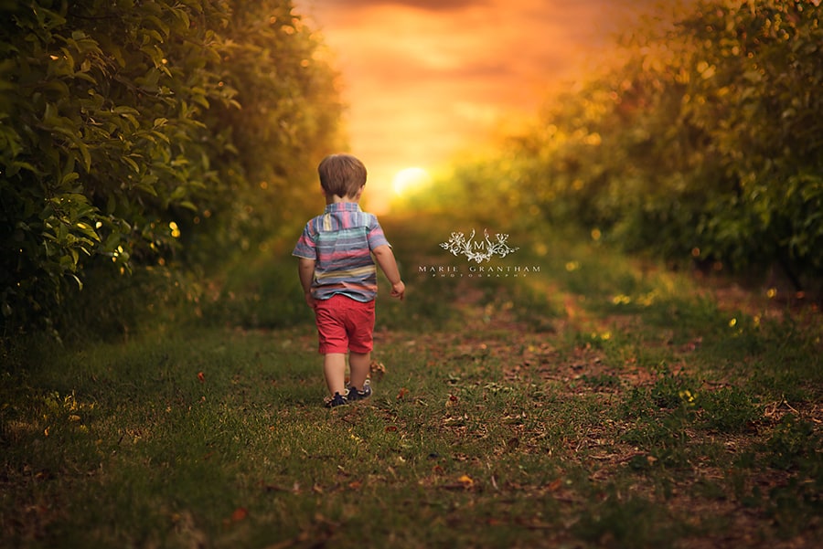 baby photographer in las vegas orchard