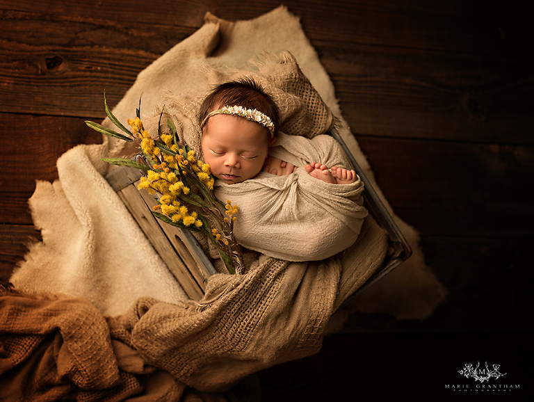 Henderson Newborn Photographer(pp W768 H578) 