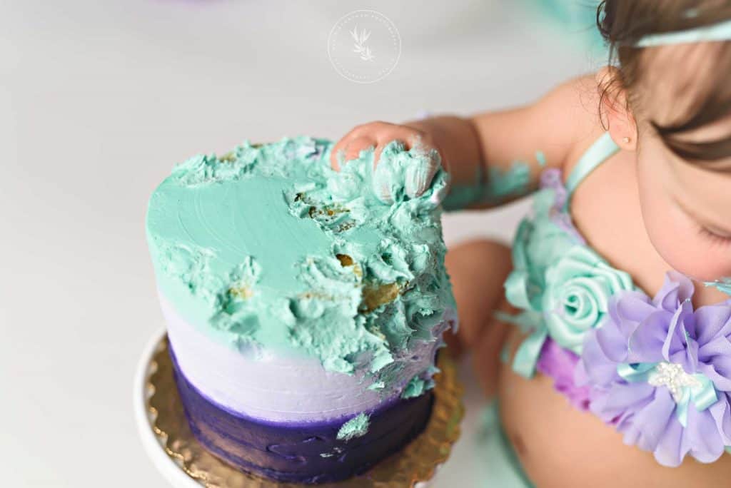 Cake smash First birthday photographer Las Vegas disney